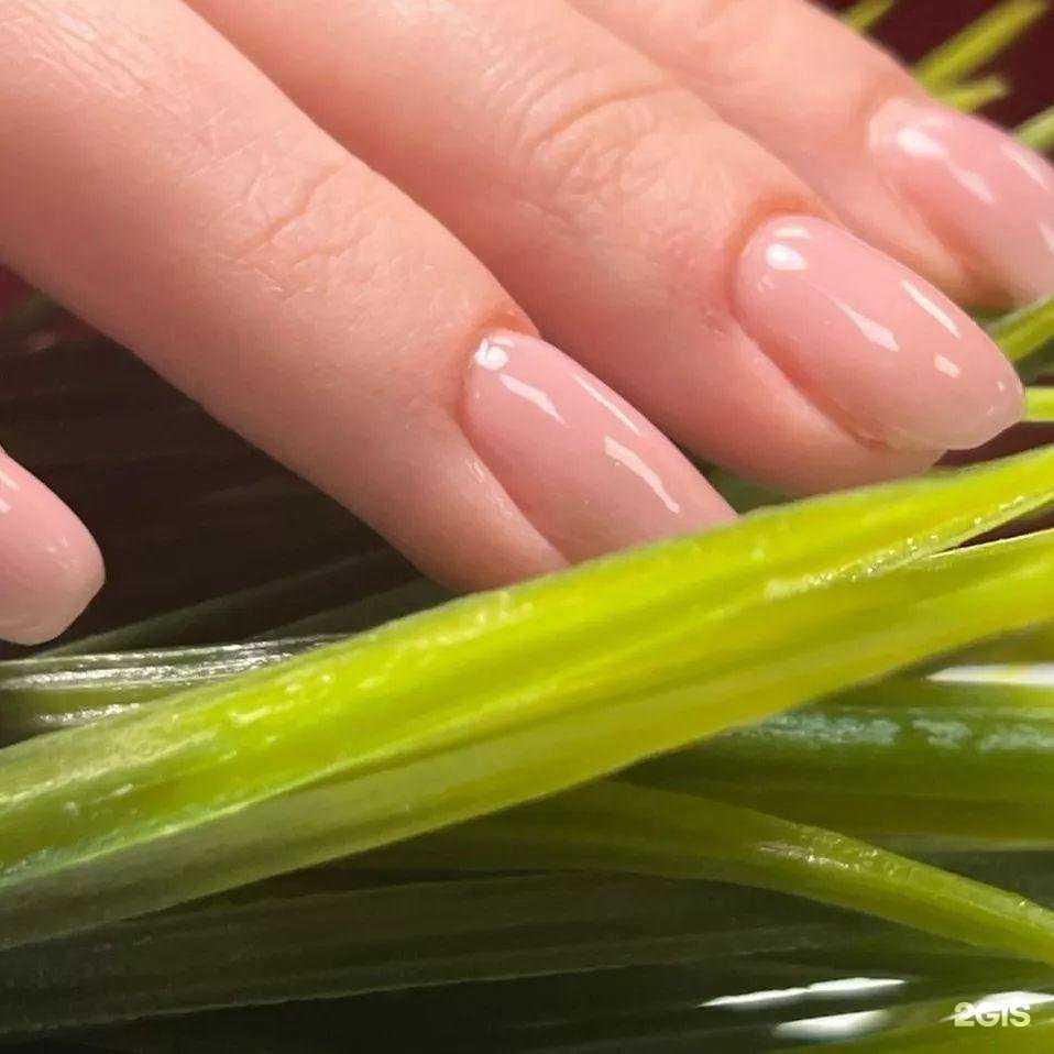 Отзывы на компанию Pilka в Воронеже c фото