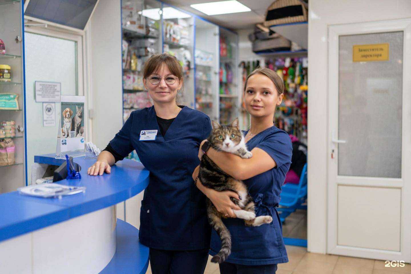 Отзывы на компанию Айболит в Сочи c фото