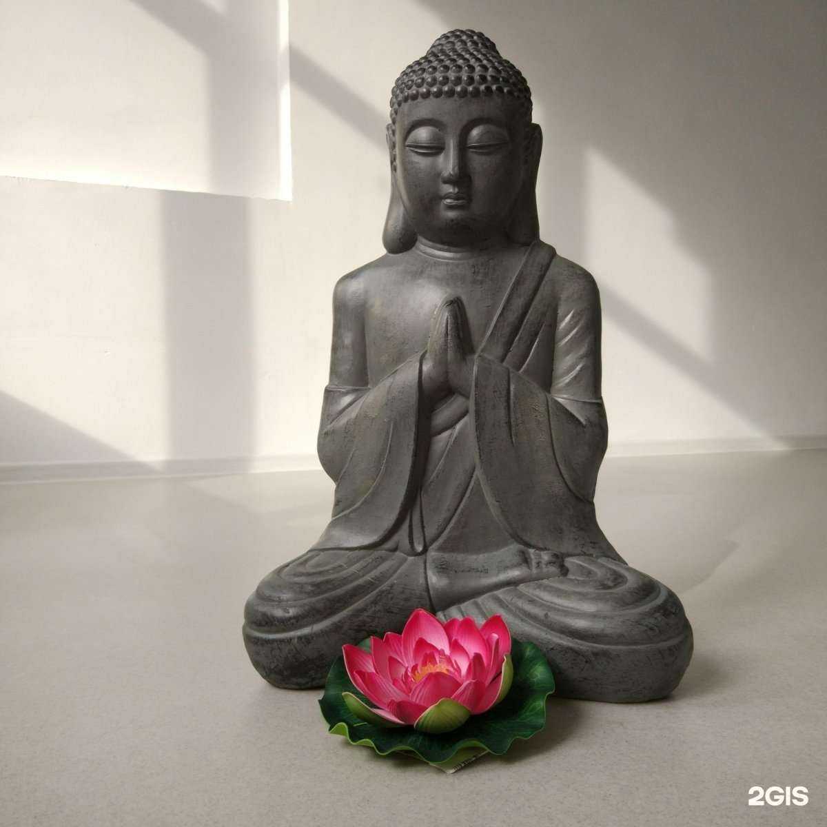 Отзывы на компанию Йога дом в г. Калининград c фото