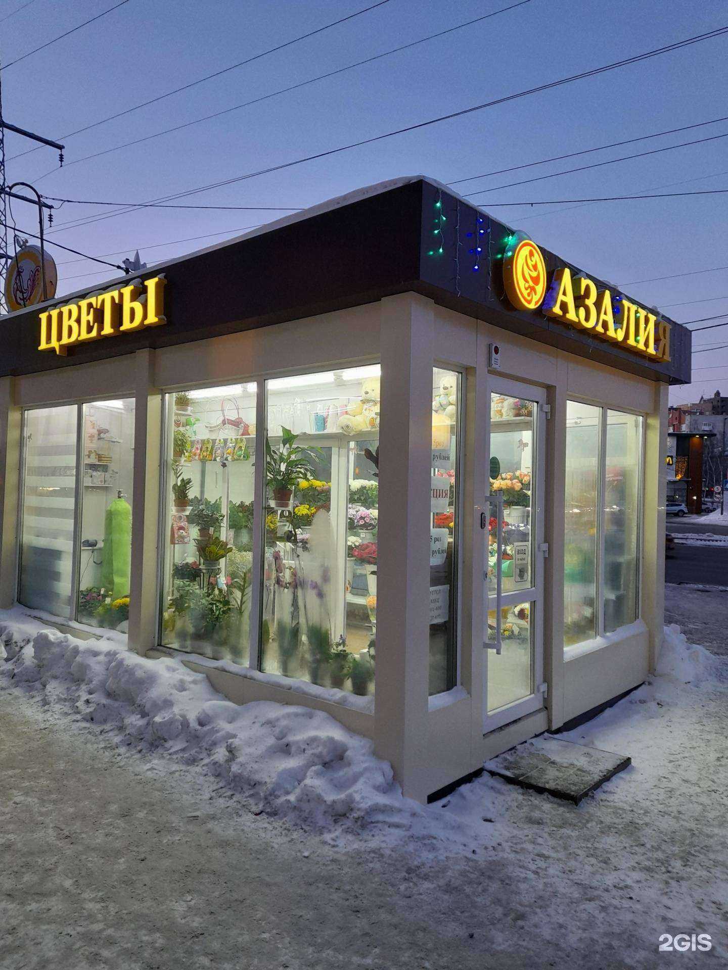 Отзывы на компанию Азалия в г. Томск c фото