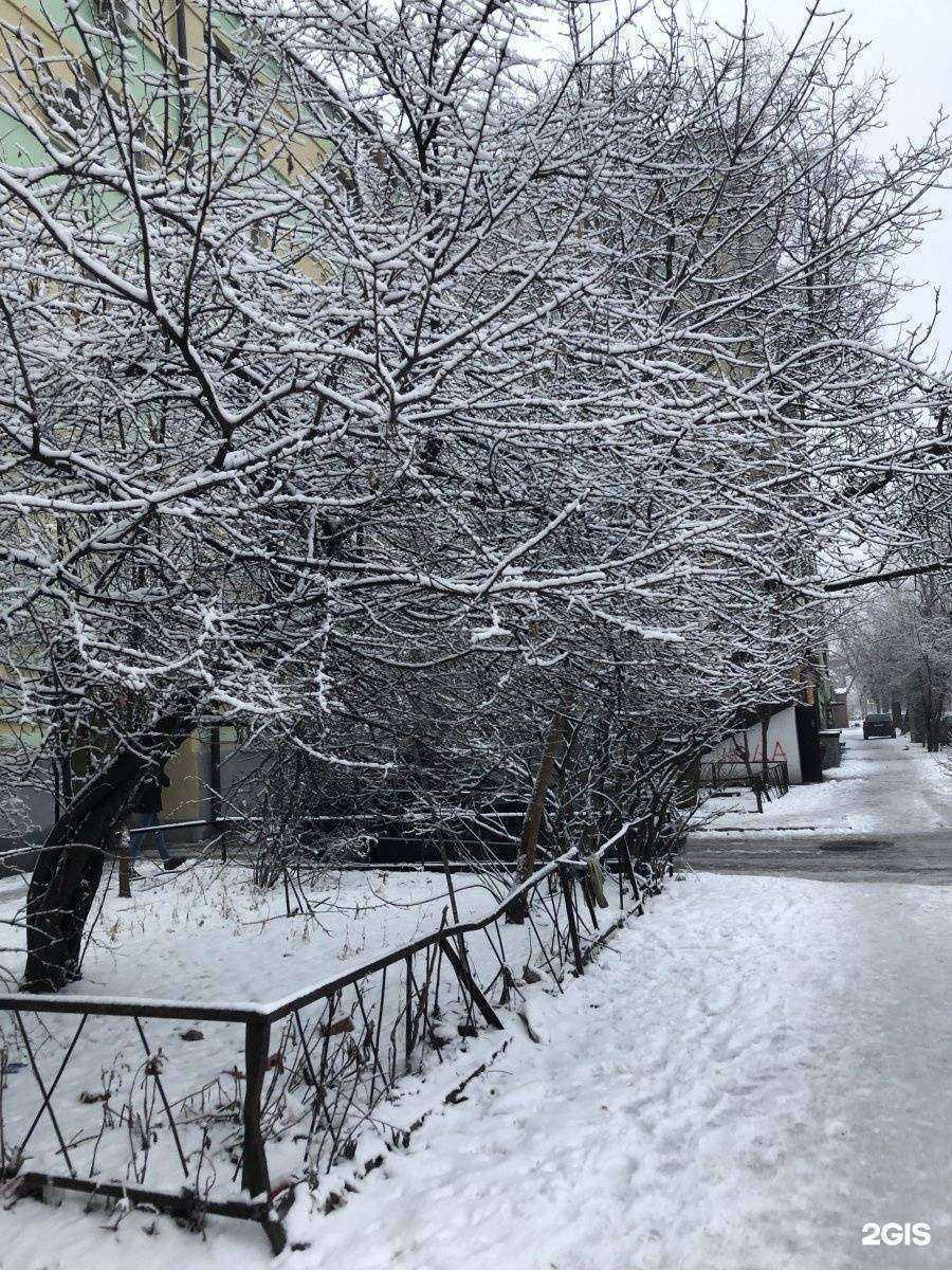 Отзывы на компанию Rdp-Rostov в Ростове-на-Дону c фото - фотография 2 из 2