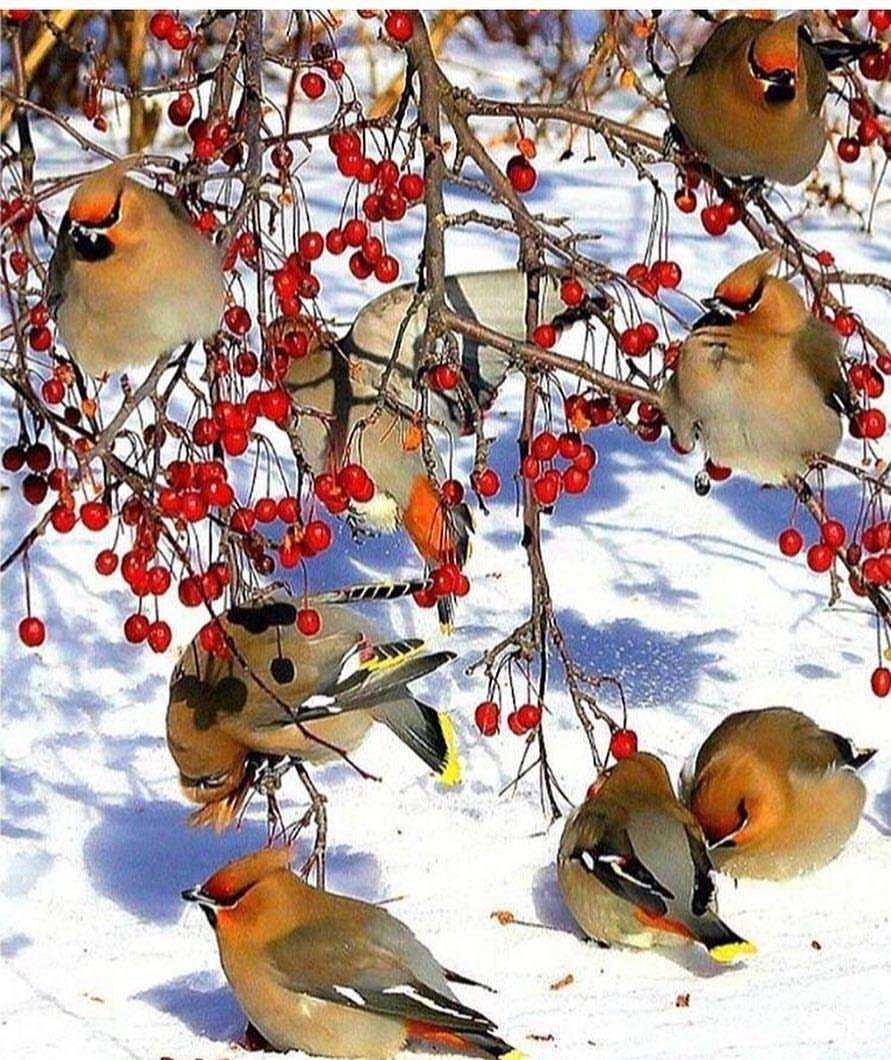 Отзывы на компанию Малахит в Лермонтове c фото