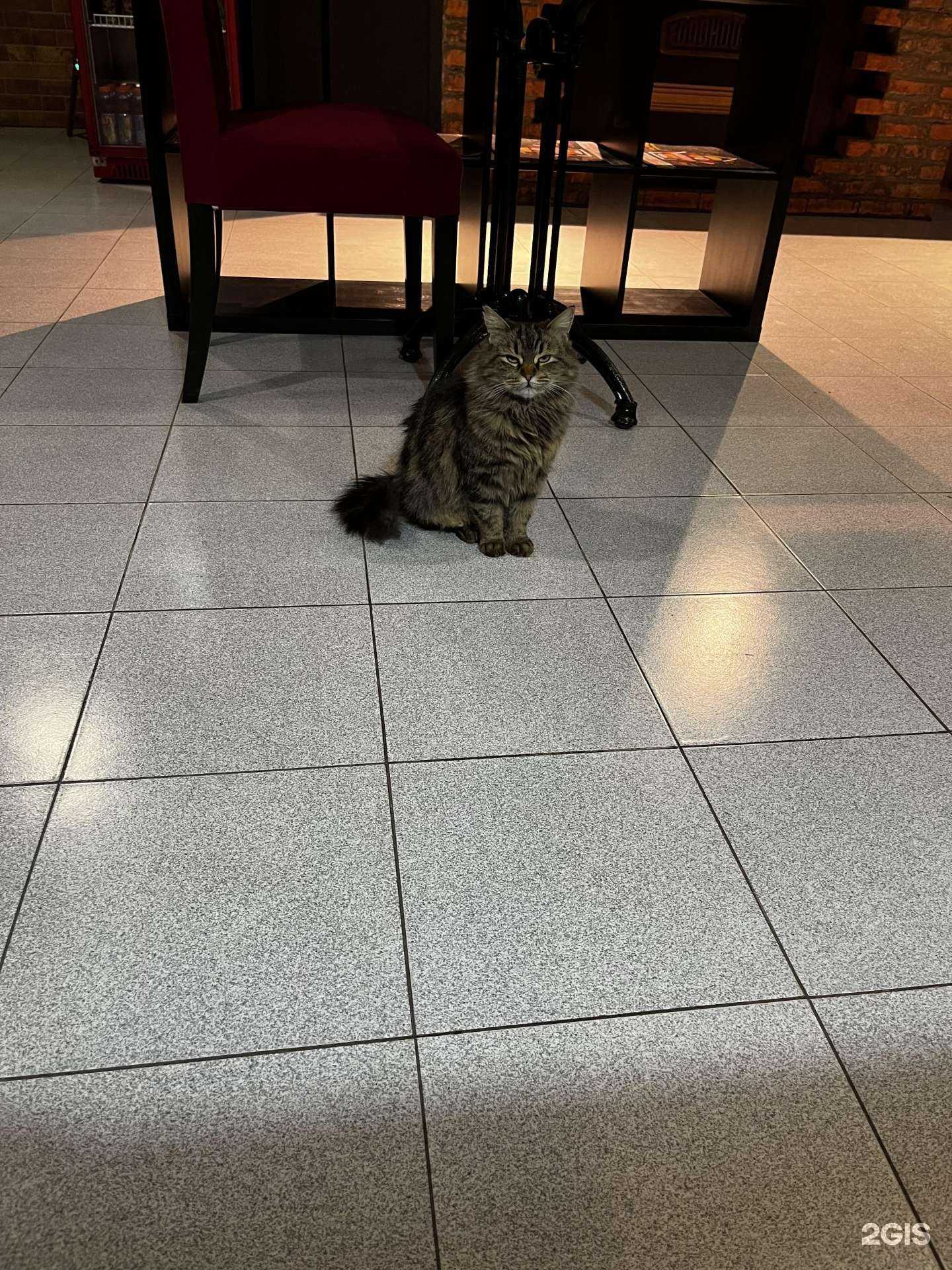 Отзывы на компанию Food House в Грозном c фото