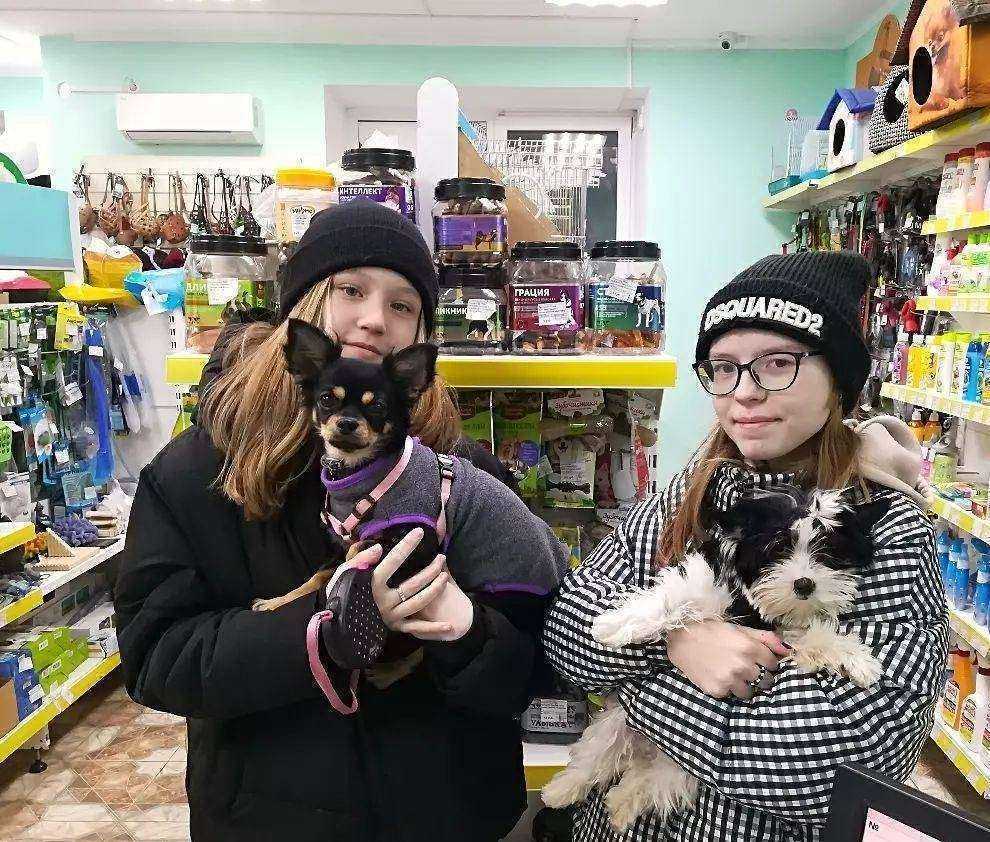 Отзывы на компанию Зоосервис в Чебоксарах c фото