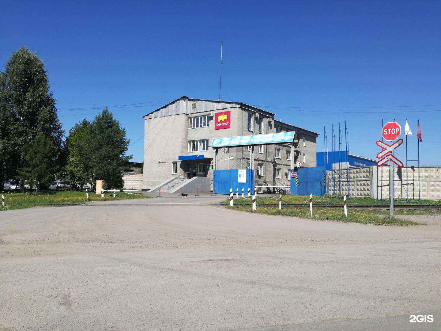 Отзывы на компанию Столовая в Кемерове c фото - фотография 2 из 2