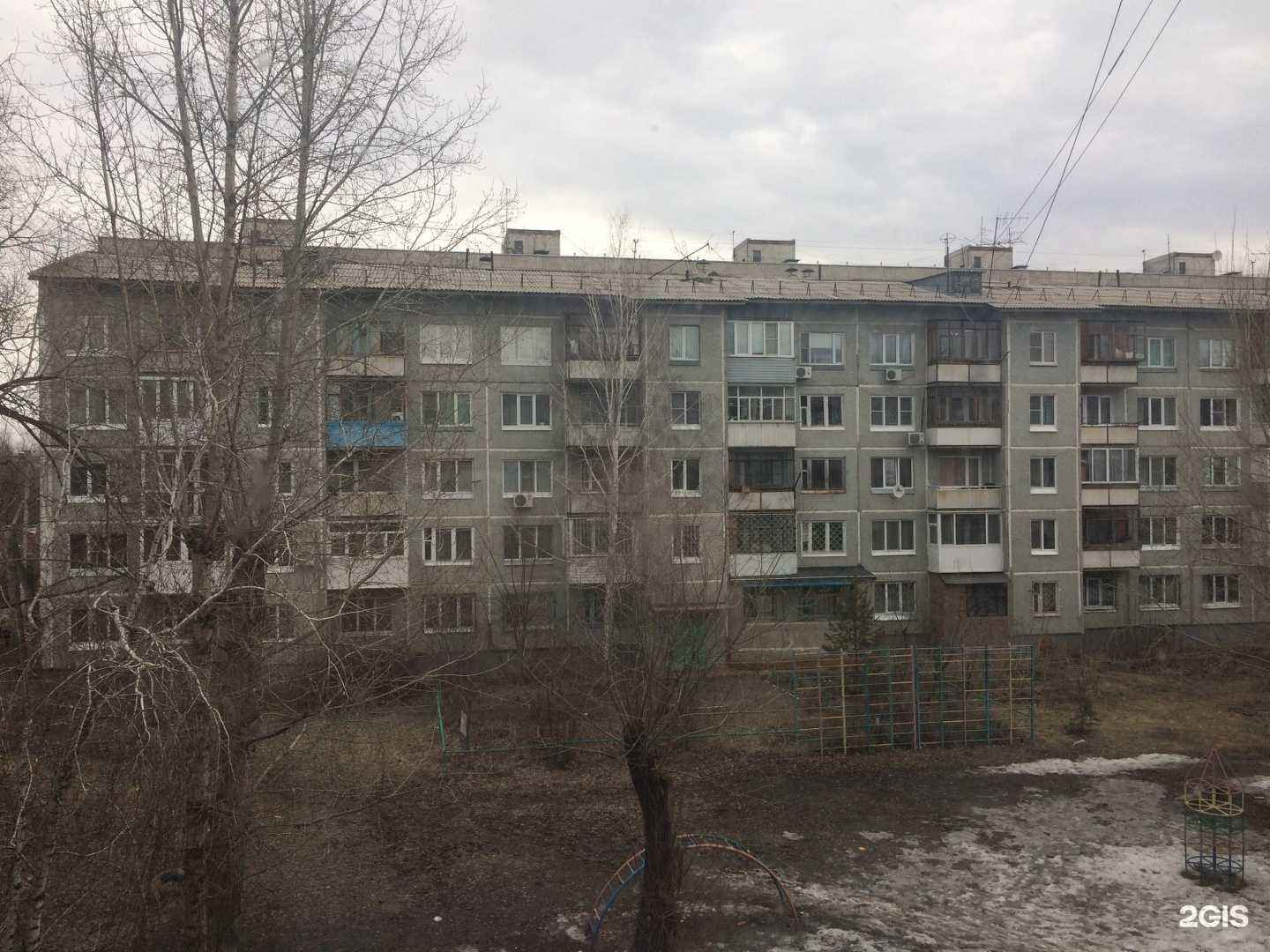 Отзывы на компанию Лапу друг в Омске c фото - фотография 2 из 2
