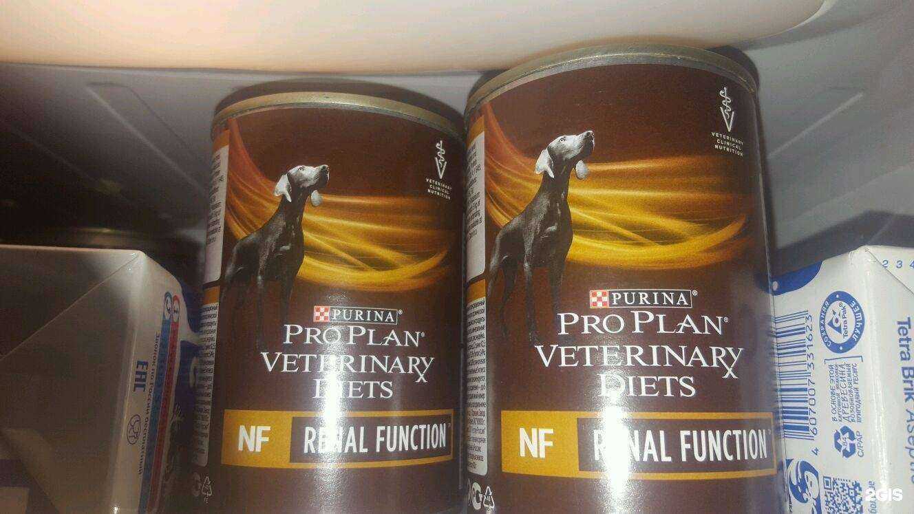 Отзывы на компанию pets66.ru в Нижнем Тагиле c фото