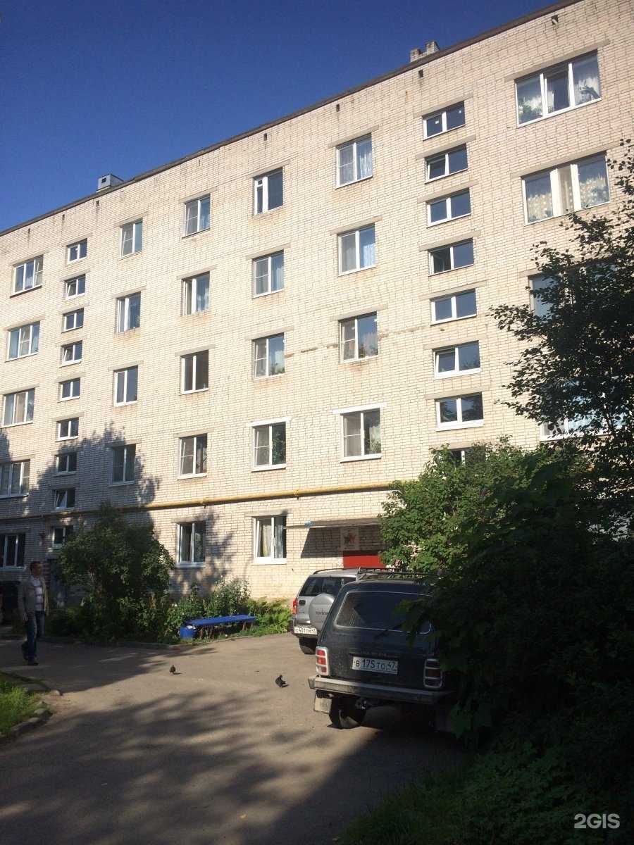 Отзывы на компанию Нами в Гатчине c фото - фотография 2 из 2