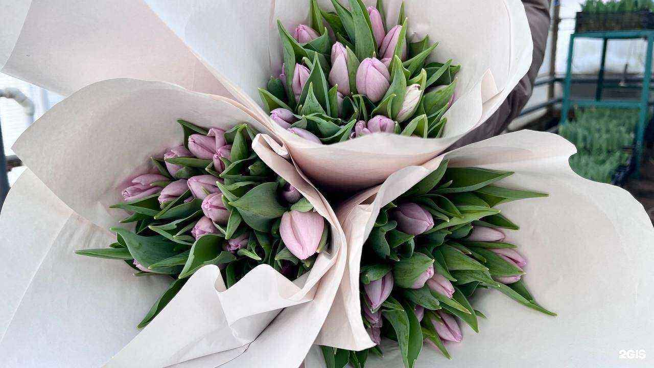 Отзывы на компанию Дизайн-Стиль в Туле c фото