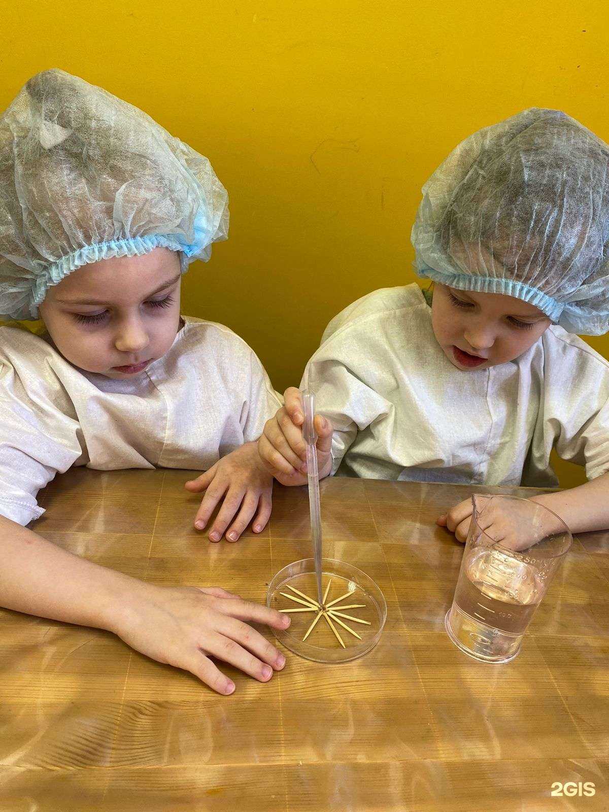 Отзывы на компанию Жёлтый Дикобраз в г. Ростов-на-Дону c фото