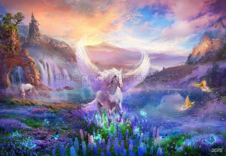 Отзывы на компанию Контора Декора в Ростове-на-Дону c фото