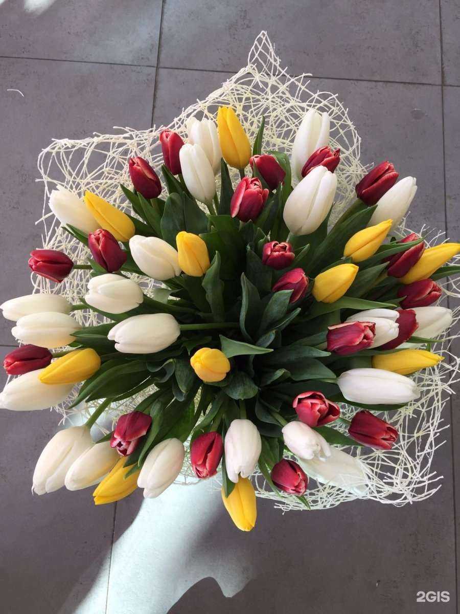 Отзывы на компанию E & D orange в Ставрополе c фото