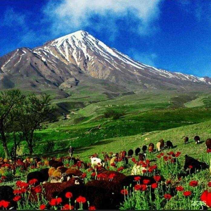 Отзывы на компанию У грузина в Смоленске c фото