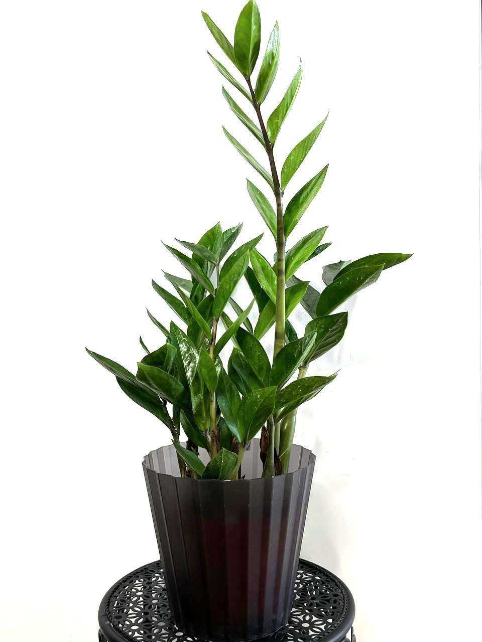 Отзывы на компанию Flow bar в г. Люберцы c фото