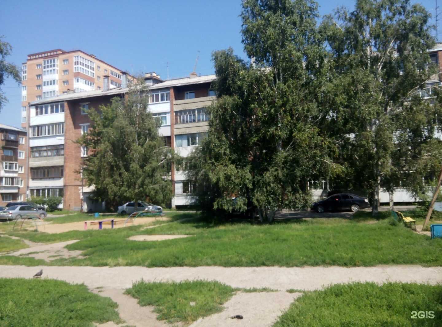 Отзывы на компанию Сафари kids в Иркутске c фото - фотография 2 из 2