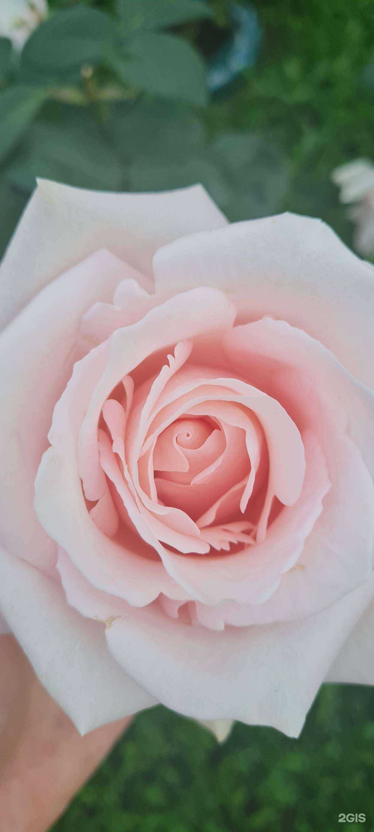 Отзывы на компанию Теремок в Новосибирске c фото