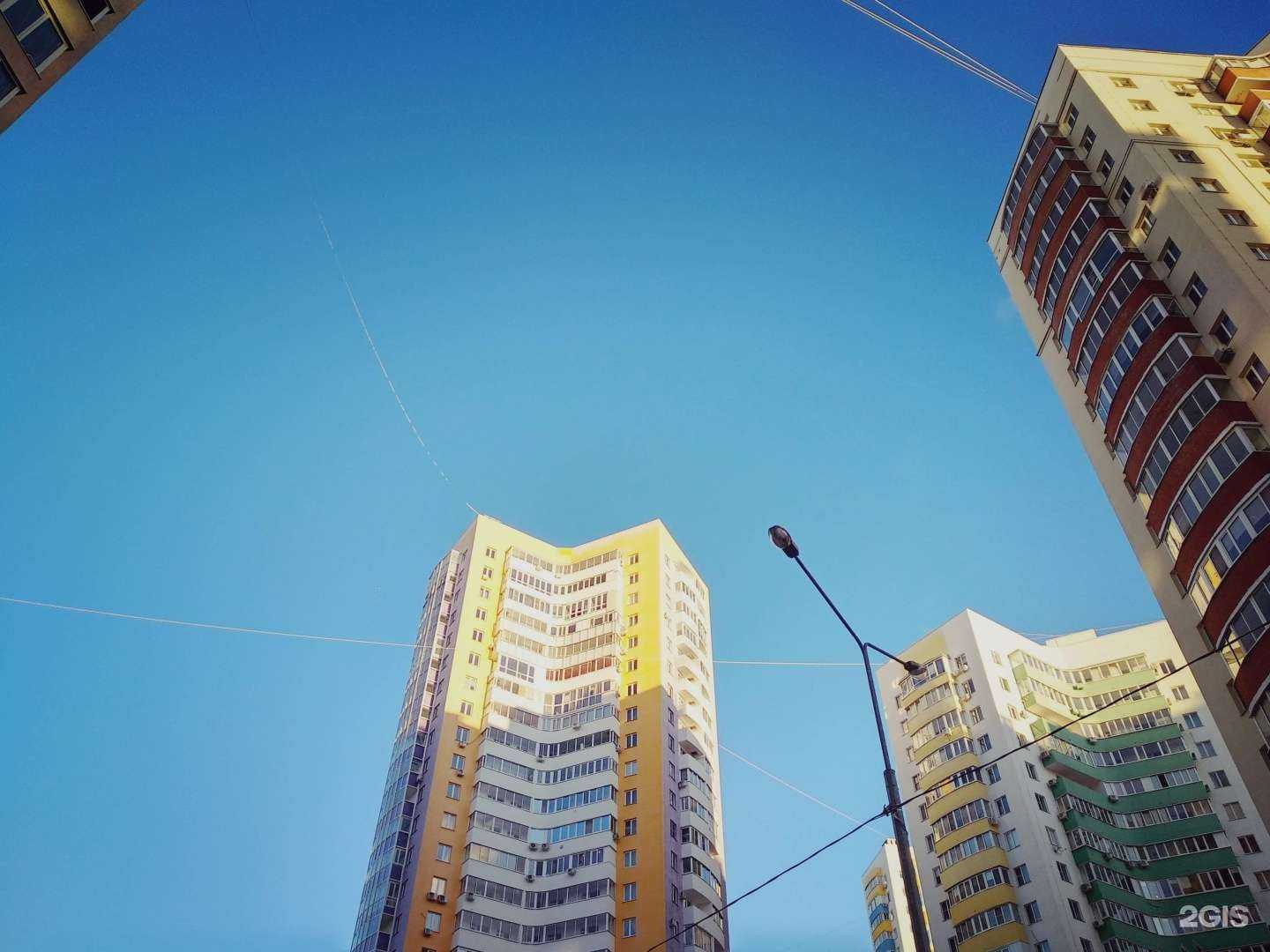 Отзывы на компанию Листья в Самаре c фото - фотография 2 из 2