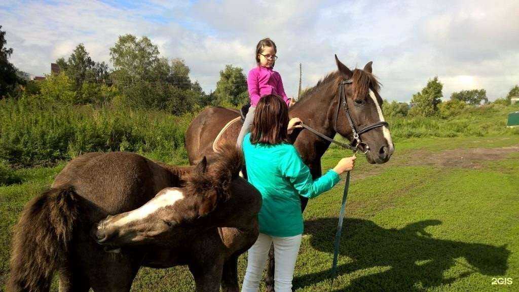 Отзывы на компанию Бердский конный клуб в г. Бердск c фото