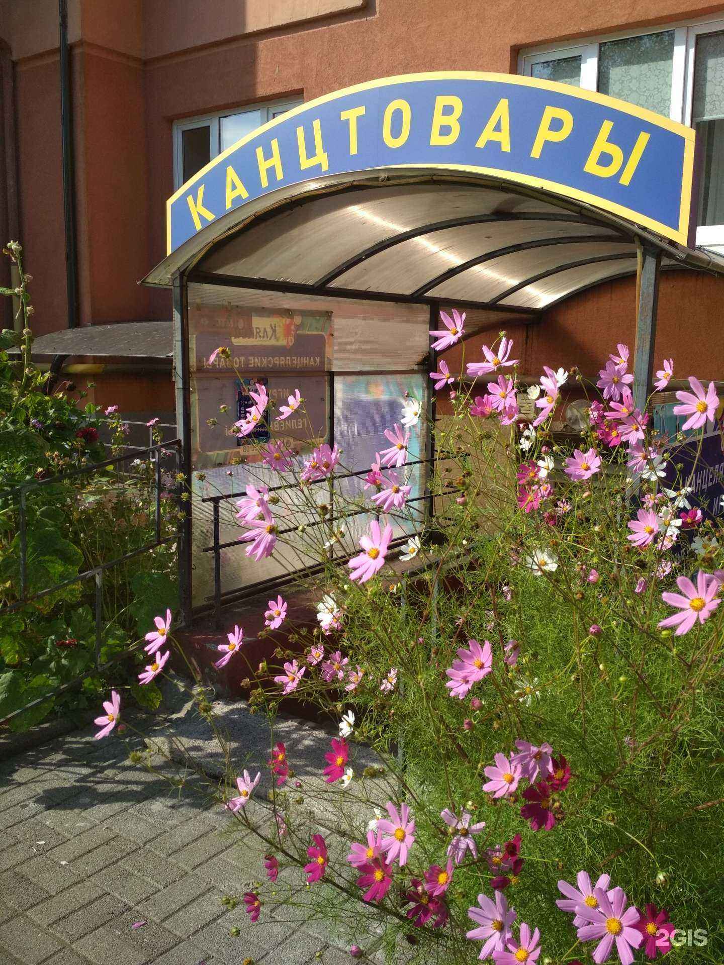 Отзывы на компанию Клякса в Калининграде c фото