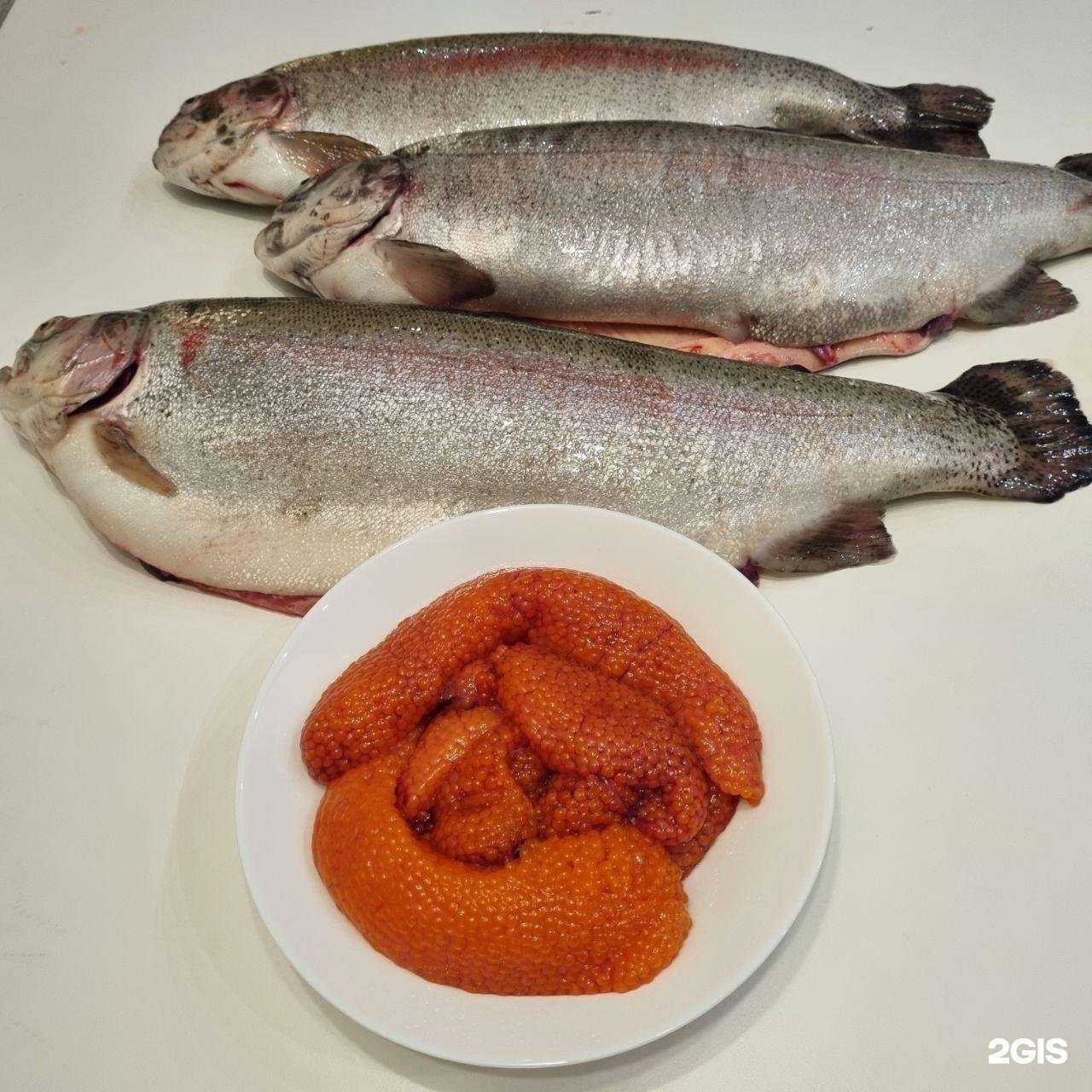 Отзывы на компанию Рефтинская форель в Нижнем Тагиле c фото