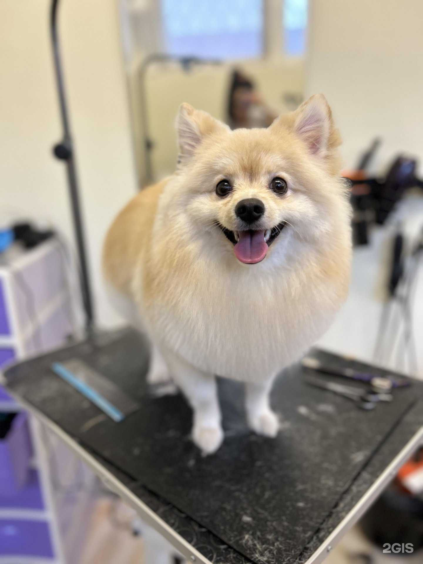 Отзывы на компанию Mishel-s в г. Набережные Челны c фото