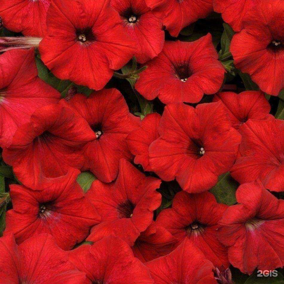 Отзывы на компанию Гарант Клининг в г. Вологда c фото