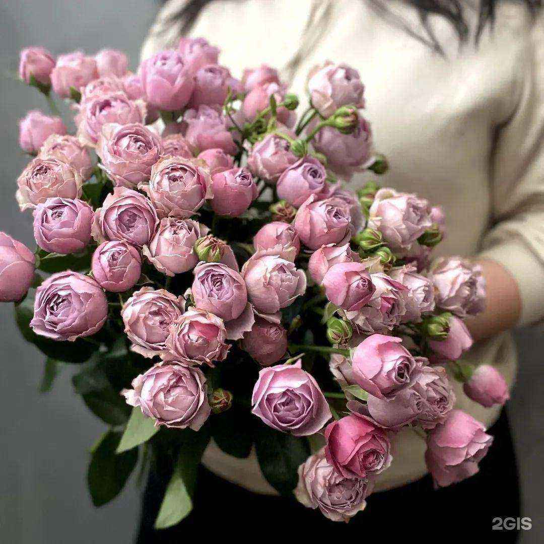 Отзывы на компанию Флора в г. Гусев c фото