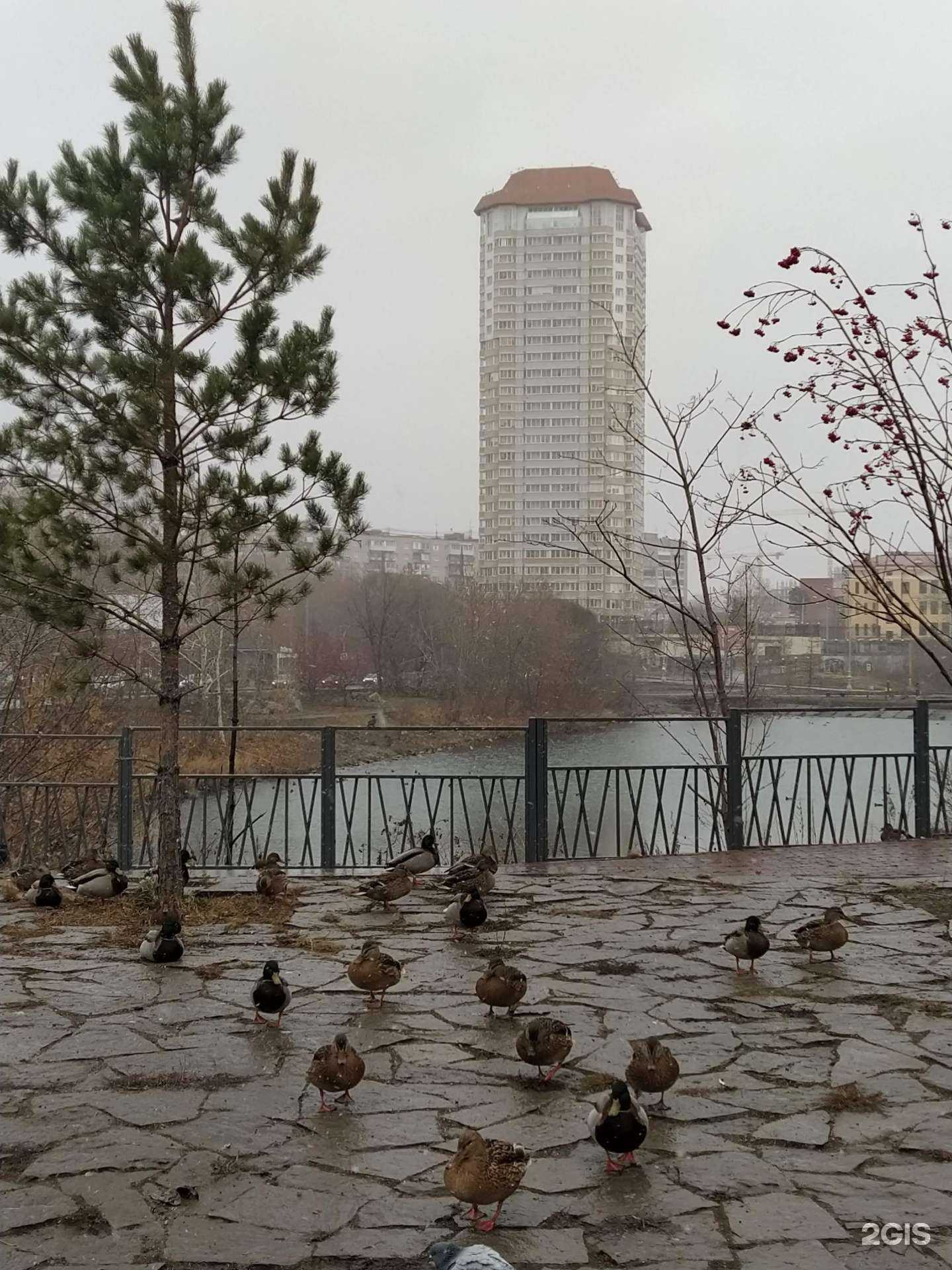 Отзывы на компанию Чудо-цветик в Екатеринбурге c фото - фотография 2 из 2