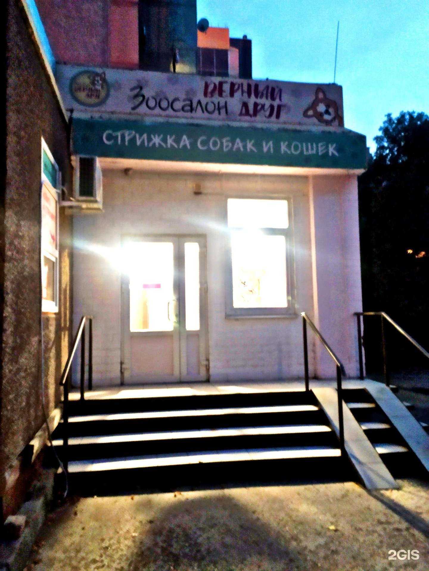 Отзывы на компанию Счастливый хвостик в Краснодаре c фото