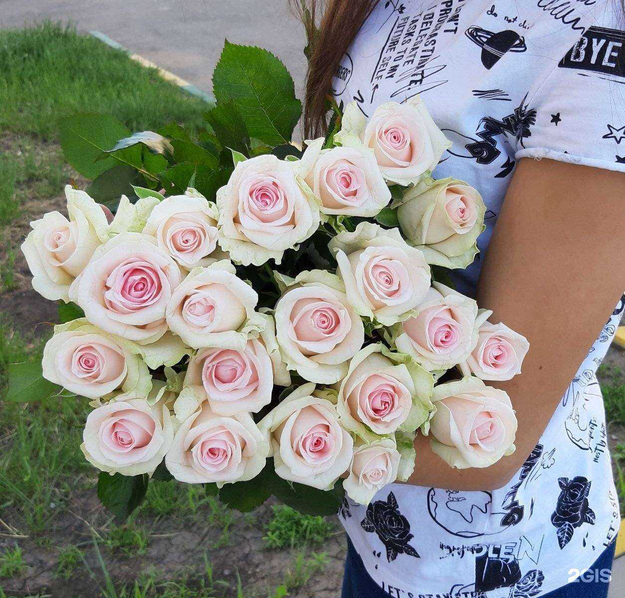 Отзывы на компанию Тюльпан в г. Саратов c фото