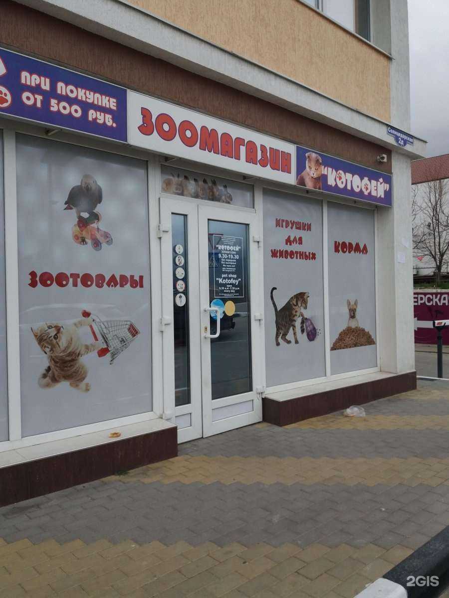 Отзывы на компанию Котофей в г. Геленджик c фото