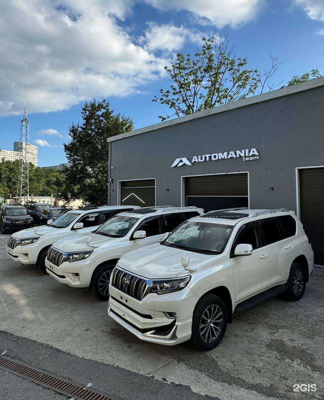 Отзывы на компанию Automania.team в Владивостоке c фото