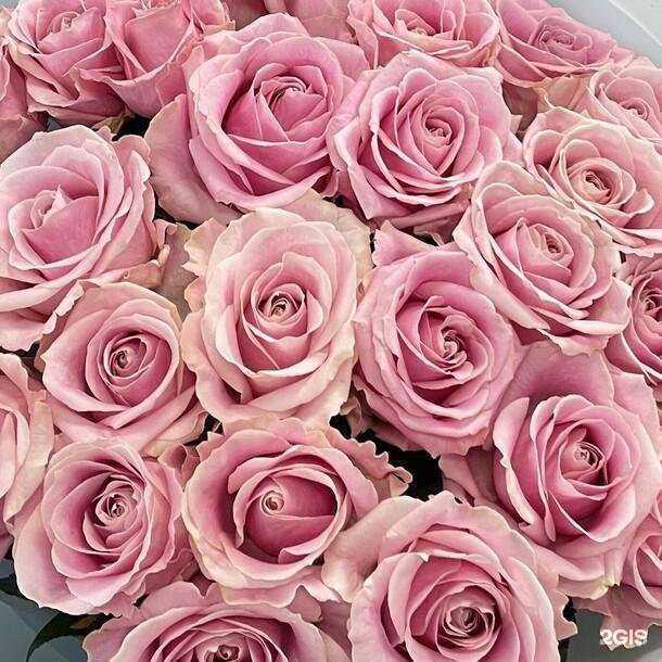 Отзывы на компанию Flawery в Магнитогорске c фото