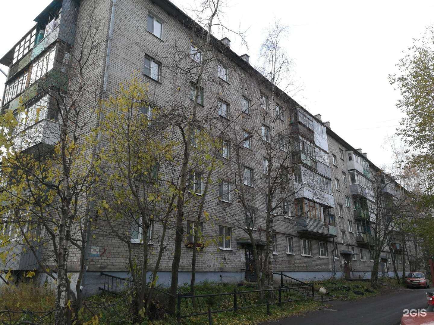 Отзывы на компанию Фотограф Денис Ожигин в Архангельске c фото - фотография 2 из 2