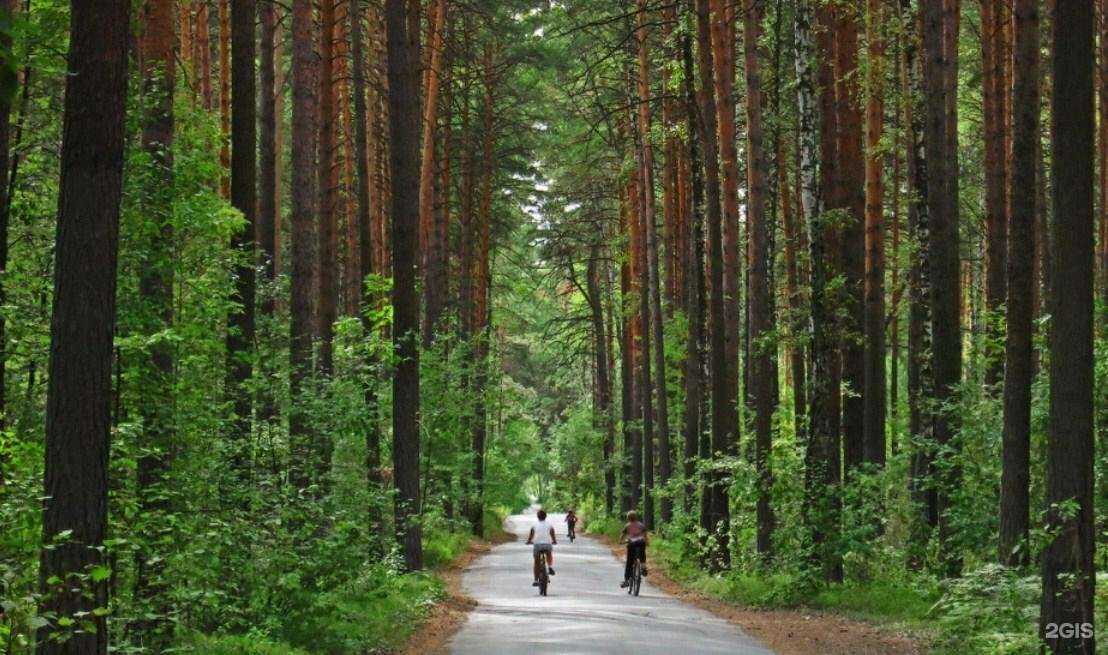 Отзывы на компанию Lokis в Новосибирске c фото