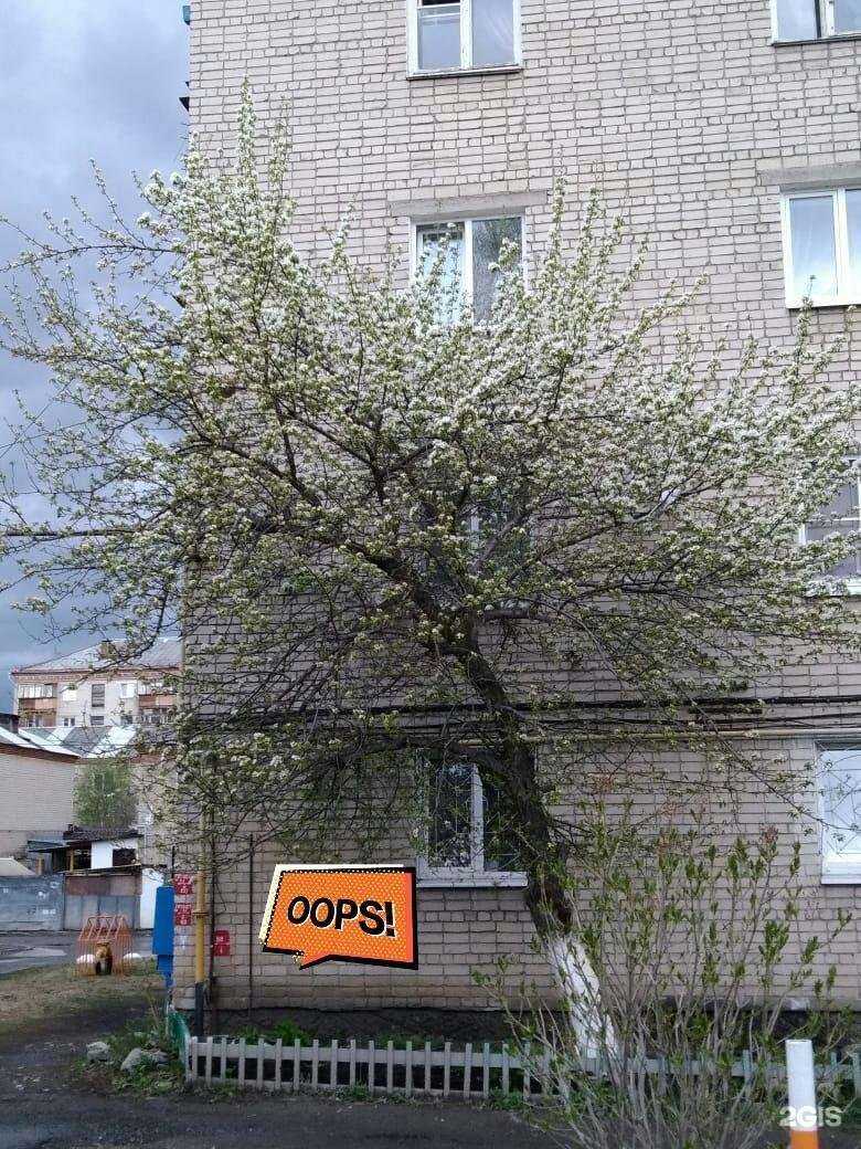 Отзывы на компанию Vodorobot в Екатеринбурге c фото - фотография 2 из 2