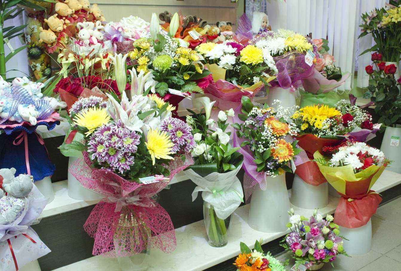 Отзывы на компанию Вербена в г. Ревда c фото