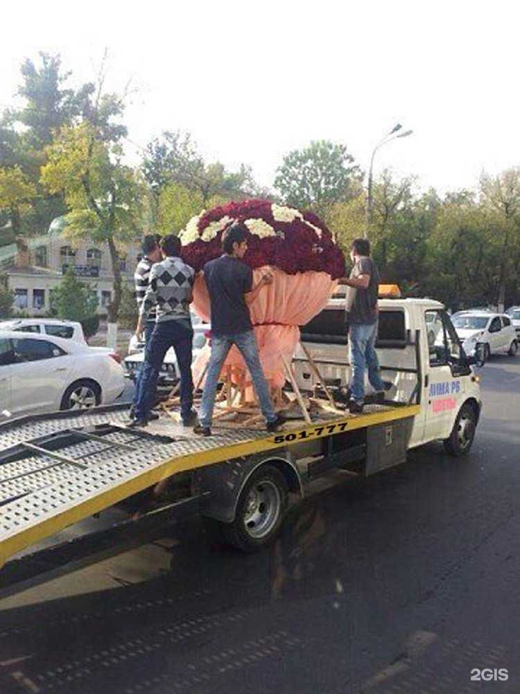 Отзывы на компанию Лима-РБ в Оренбурге c фото