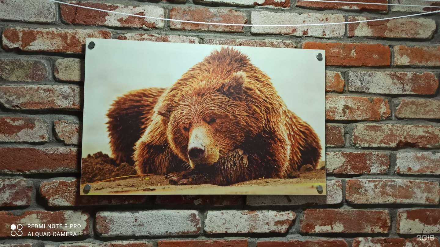 Отзывы на компанию Берлога в г. Артём c фото