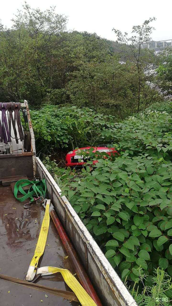 Отзывы на компанию Тюб сити в г. Артём c фото