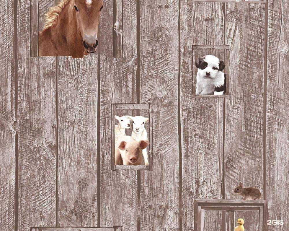 Отзывы на компанию Компания Вето в Пскове c фото