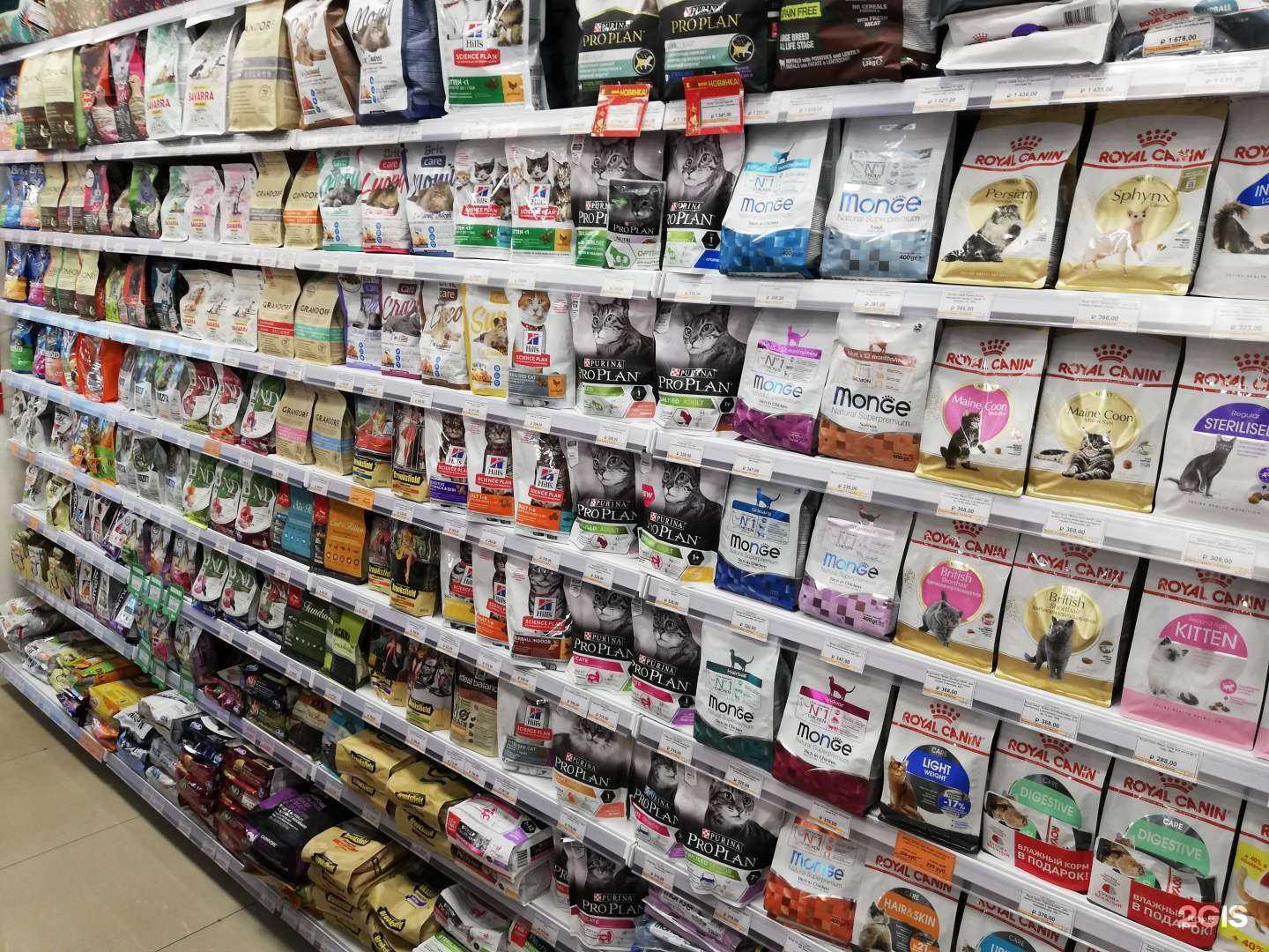 Отзывы на компанию Zooрай в г. Владимир c фото