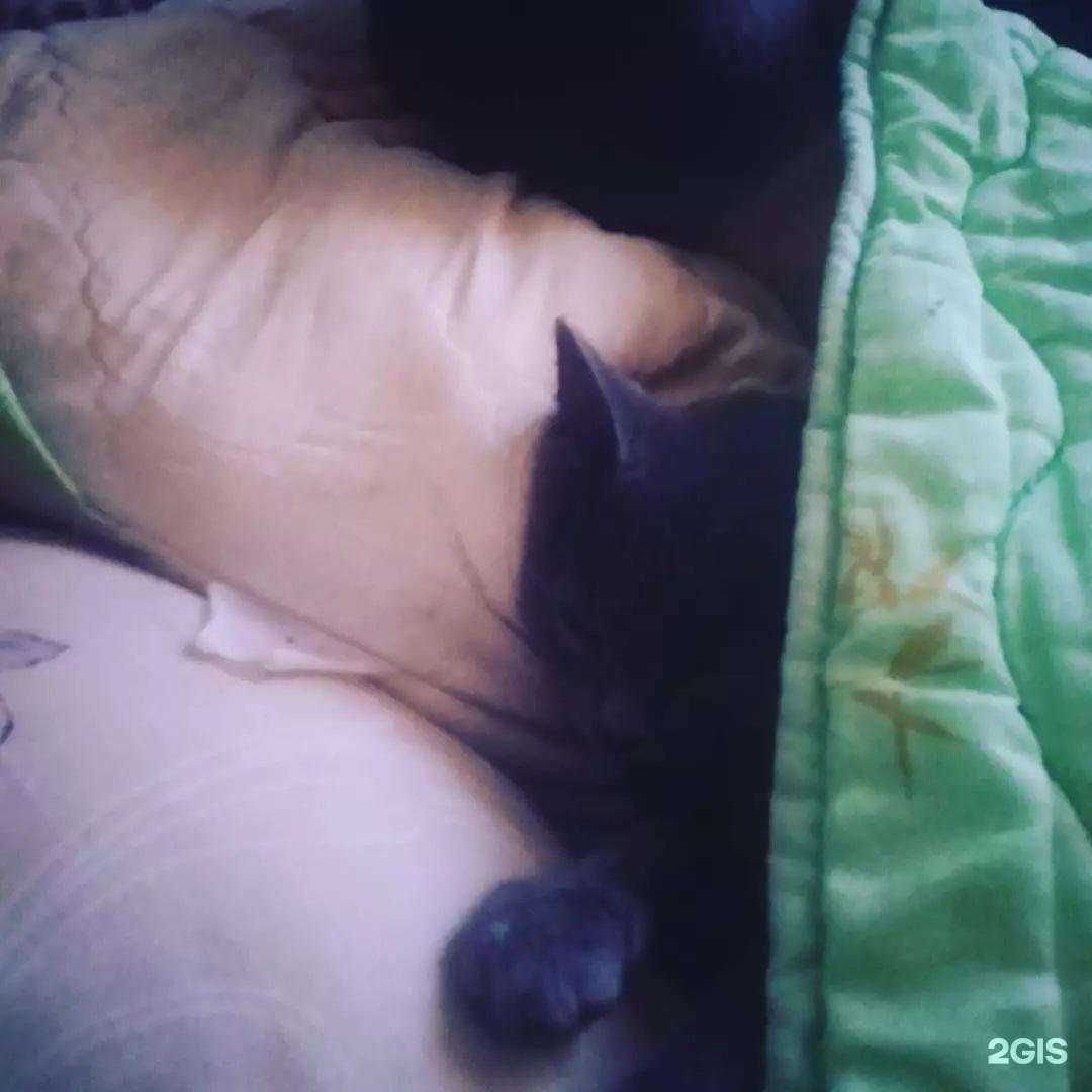 Отзывы на компанию СТОльник в Ставрополе c фото