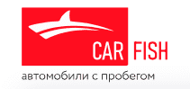 Car Fish