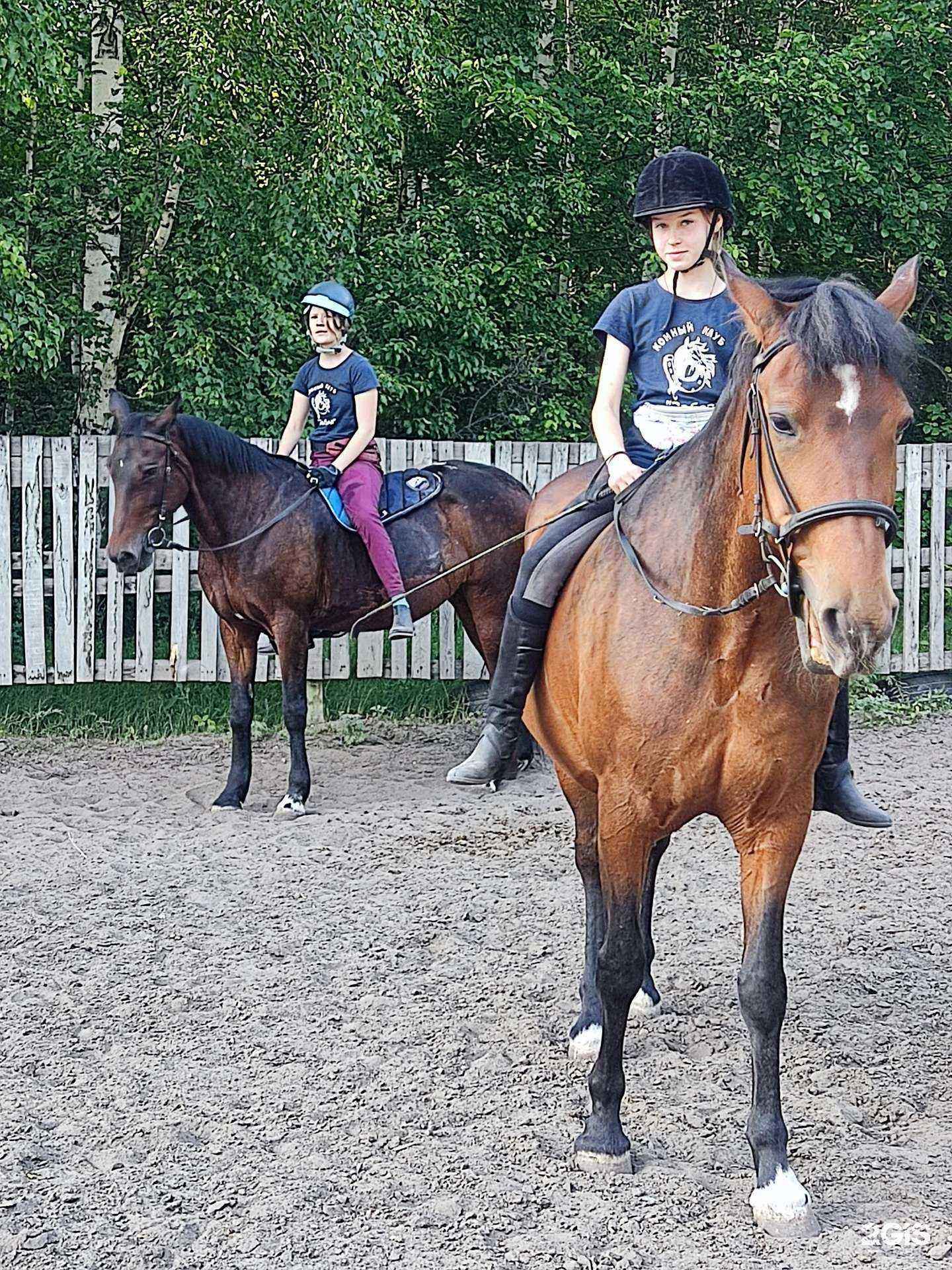 Отзывы на компанию Забава в Красноярске c фото