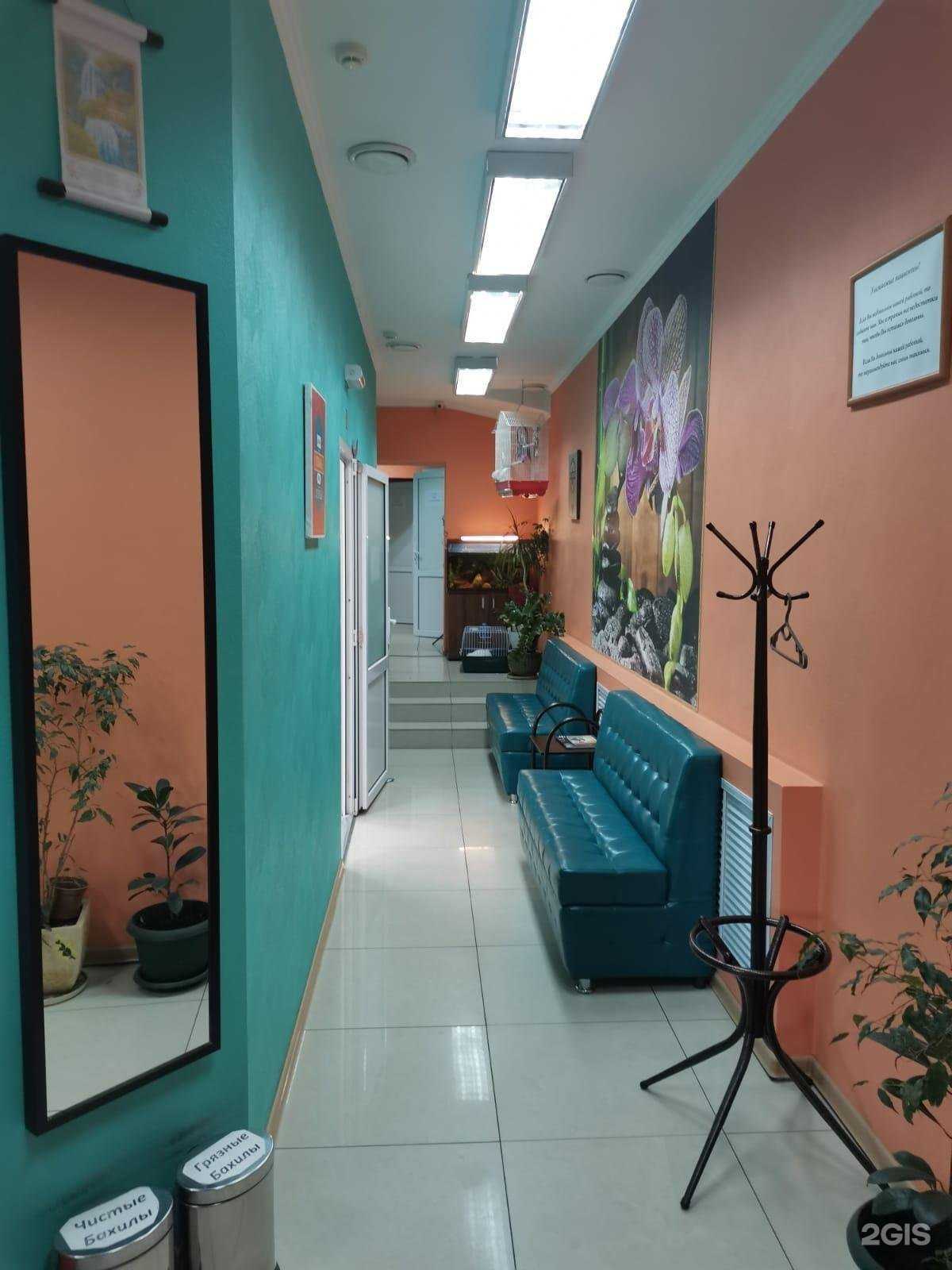 Отзывы на компанию Стоматология Профи в Краснодаре c фото