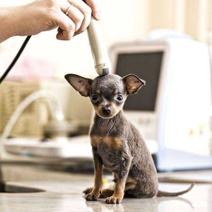 Отзывы на компанию Кристи в Подольске c фото