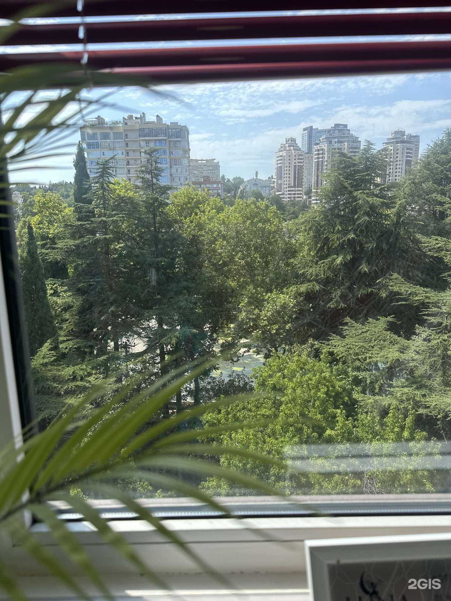 Отзывы на компанию Ибица в Сочи c фото