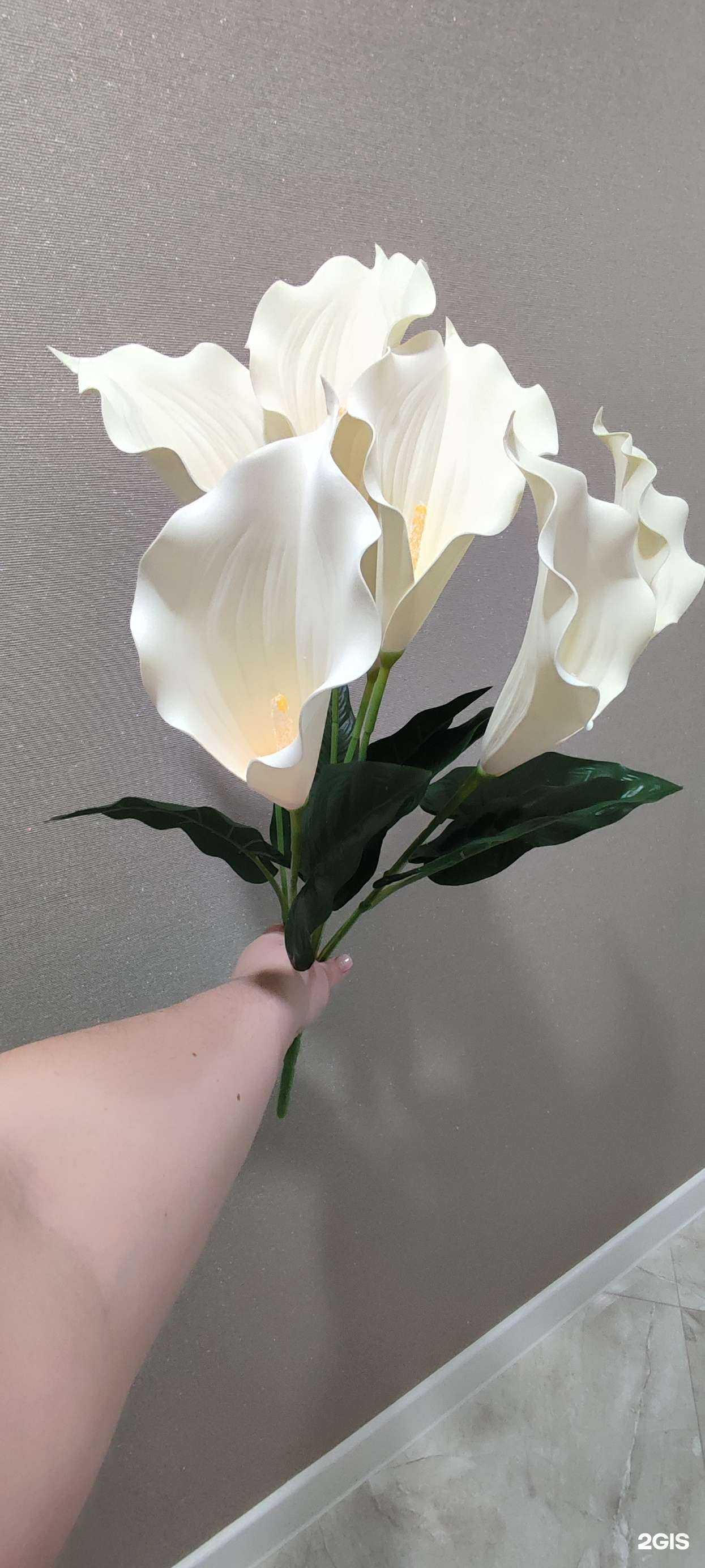 Отзывы на компанию Роза Сантана в Волгограде c фото