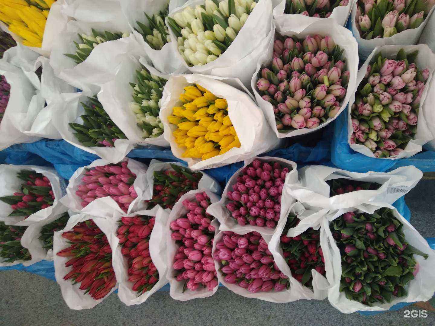 Отзывы на компанию Элит Букет в г. Ноябрьск c фото